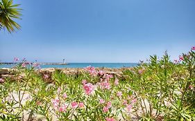 Loft Marina Direct Plage